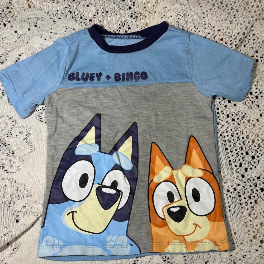 Bluey and Bingo Toddler T-Shirt, TV Cartoon Character, 3T, Kid's Clothes
